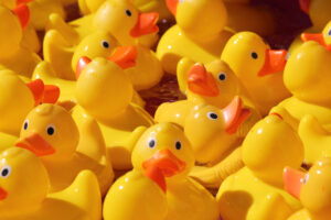 A lot of yellow rubber ducks